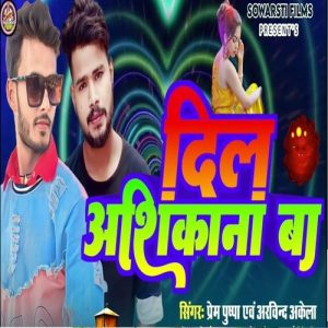 Dil Ashikana Ba