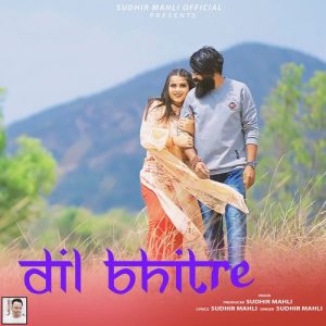 Dil Bhitre Album Art