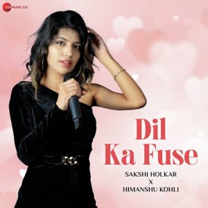 Dil Ka Fuse (2023) Album Art