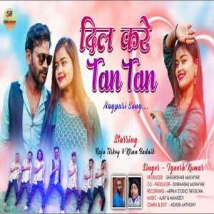 Dil Kare Tan Tan Album Art