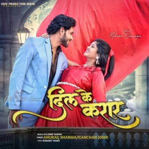 Dil Ke Karar Album Art