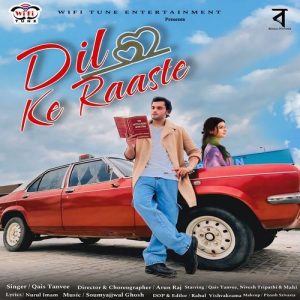 Dil Ke Raaste Album Art