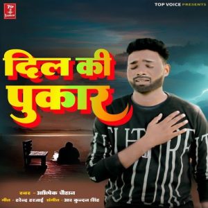 Dil Ki Pukar Album Art