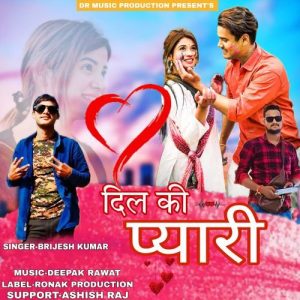 Dil Ki Pyari Album Art
