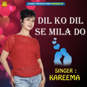 Dil Ko Dil Se Mila Do Album Art