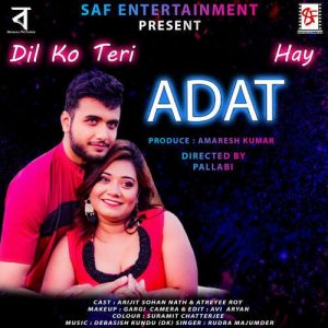 Dil Ko Teri Adat Hay Album Art