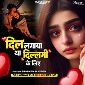 Dil Lagaya Tha Dillagi Ke Liye Album Art