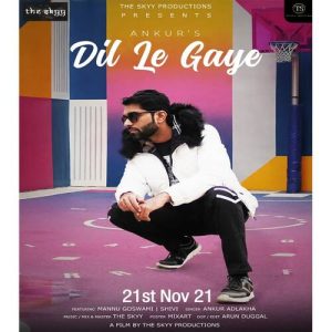 Dil Le Gaye Album Art