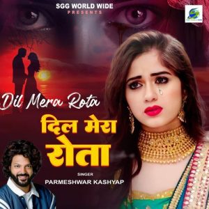 Dil Mera Rota Hai Album Art