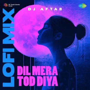 Dil Mera Tod Diya – LoFi Mix
