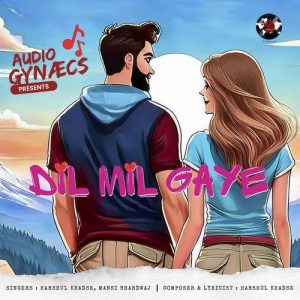 Dil Mil Gaye Album Art