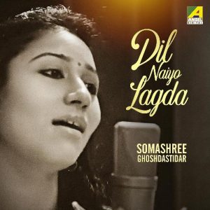 Dil Naiyo Lagda Album Art