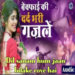 Dil Sanam Hum Jaan Lutake Roye Hai