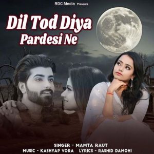 Dil Tod Diya Pardesi Ne (2025) Album Art