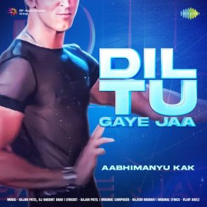 Dil Tu Gaye Jaa Album Art