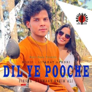 Dil Ye Pooche Album Art