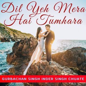 Dil Yeh Mera Hai Tumhara Album Art