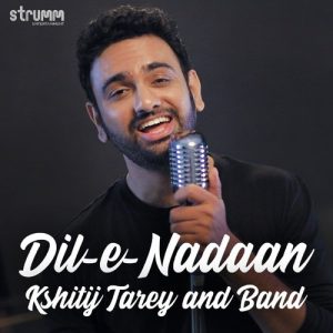 Dil-e-Nadaan Album Art