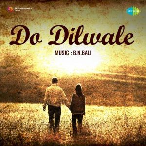 Do Dilwale Album Art