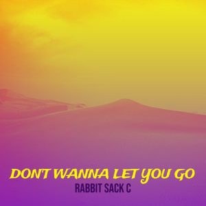 Don’t Wanna Let You Go