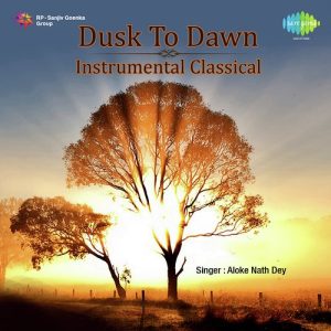 Dusk To Dawn Instrumental Classical Album Art