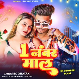 Ek Number Maal Album Art