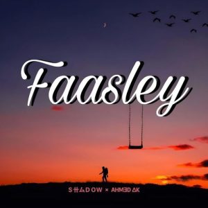 Faasleyy Album Art