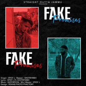 Fake Promises Album Art