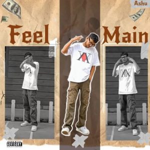 Feel Main Album Art