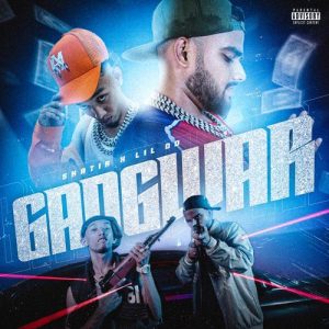 Gangwar Album Art