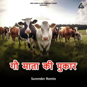 Gau Mata Ki Pukar Album Art