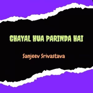 Ghayal Hua Parinda Hai
