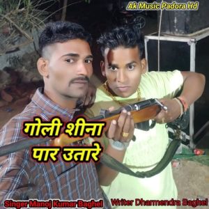 Goli Sina Paar Utare गोली सीना पार उतारे Album Art