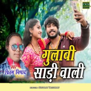 Gulabi Sadi Wali Album Art