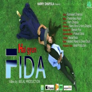Hai Gyu Fida