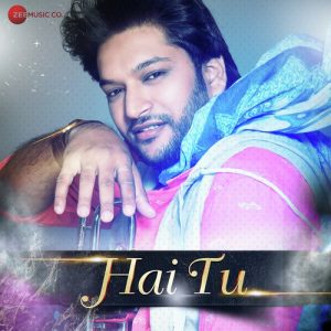 Hai Tu Album Art