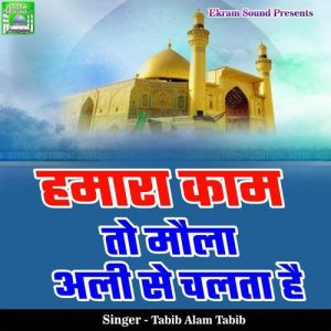 Hamara Kam To Maula Ali Se Chalta Hai (2024) Album Art