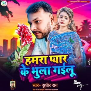 Hamara Pyar Ke Bhula Gailu Album Art