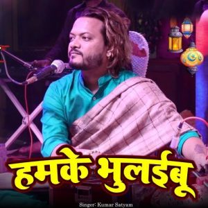 Hamke Bhulaibu Album Art