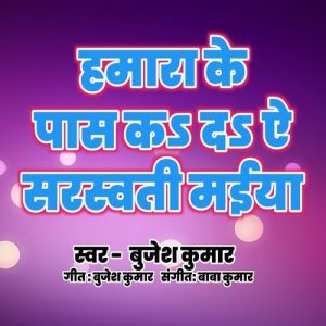 Hamra Ke Paas Ka Da A Sarswati Maiya Album Art