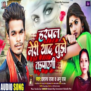 Harpal Meri Yad Tujhe Tadpayegi Album Art