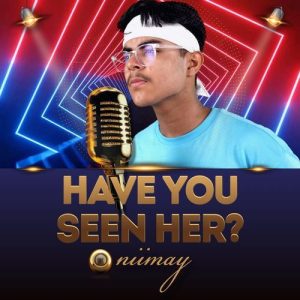 Have You Seen Her Album Art
