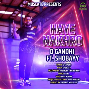 Haye Nakhro Album Art