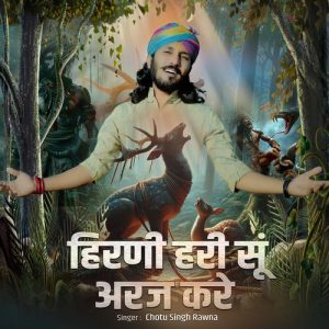 Hirni Hari Su Araj Kare Album Art
