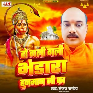 Ho Gali Gali Bhandara Hanuman Ji Ka Album Art