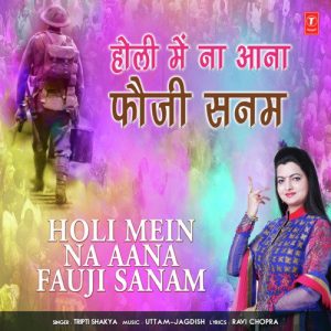 Holi Mein Na Aana Fauji Sanam Album Art