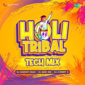 Holi Tribal Tech Mix Album Art