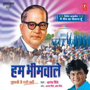Hum Bheemwale