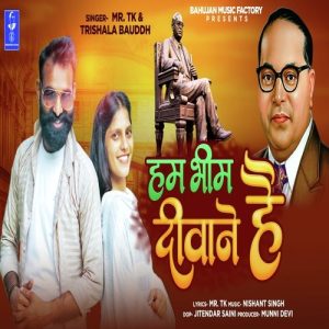 Hum Bhim Deewane Hai Album Art