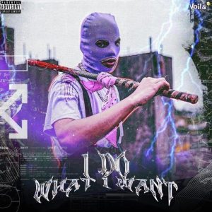 I Do What I Want Album Art